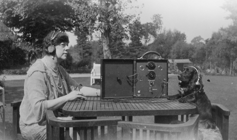 Illustration for article titled Dogs Listening to the Radio Will Cure Your Case of the Mondays
